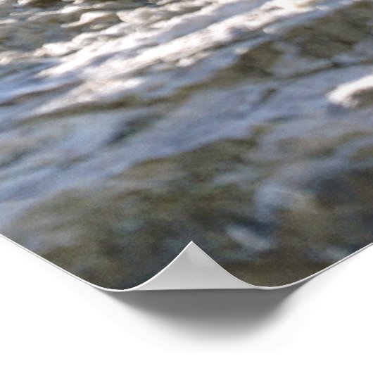 Bergmarmot Poster (Ecke)