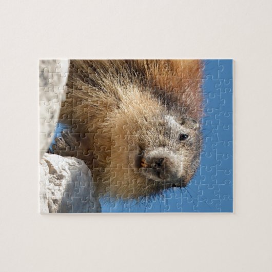 Bergmarmot Puzzle (Horizontal)