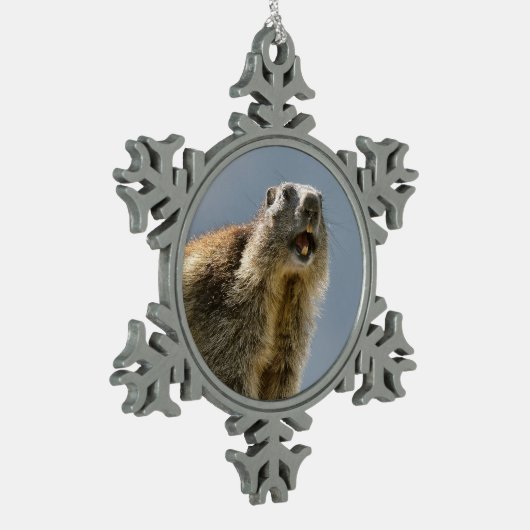 Bergmarmot Schneeflocken Zinn-Ornament (Links)