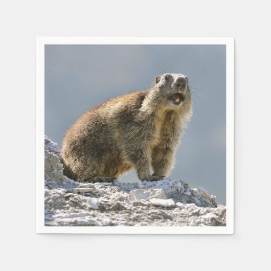 Bergmarmot Serviette (Vorderseite)