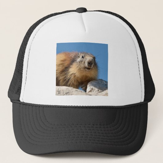 Bergmarmot Truckerkappe (Vorderseite)