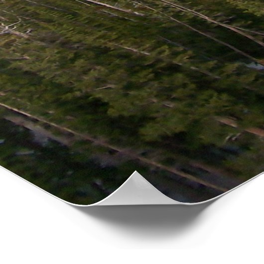 Bergpass Poster (Ecke)