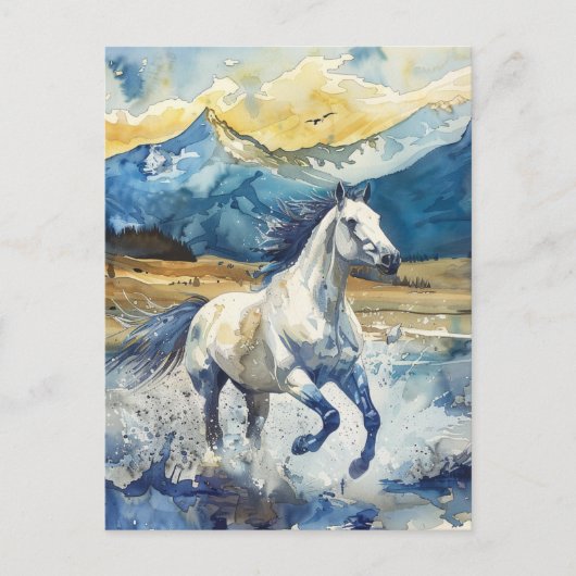 Bergpferd Postkarte (Vorderseite)