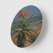 Bergregion (Aloe Marlothii Berger) 2 Runde Wanduhr (Winkel)