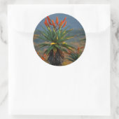Bergregion (Aloe Marlothii Berger) 2 Runder Aufkleber (Tasche)
