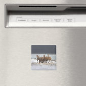 Bergschaf Magnet (In Situ (Geschirrspüler))