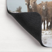 Bergschaf Mousepad (Ecke)