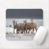 Bergschaf Mousepad (Mit Mouse)