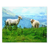 BERGSCHAFT FOTODRUCK (Vorne)