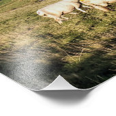 BERGSCHAFT FOTODRUCK (Ecke)