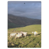 BERGSCHAFT KLEMMBRETT (Rückseite)