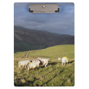 BERGSCHAFT KLEMMBRETT