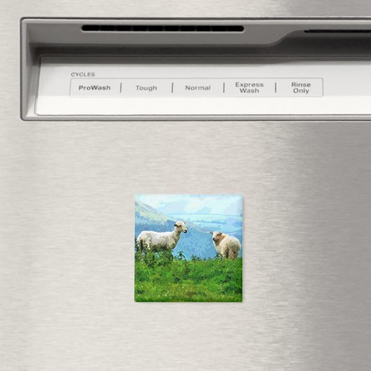 BERGSCHAFT MAGNET (In Situ (Geschirrspüler))