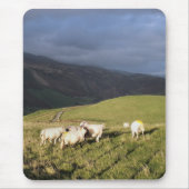 BERGSCHAFT MOUSEPAD (Vorne)