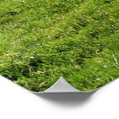 BERGSCHAFT POSTER (Ecke)