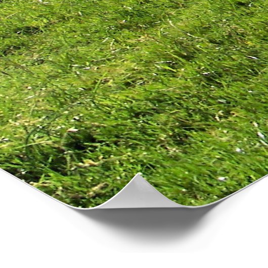 BERGSCHAFT POSTER (Ecke)