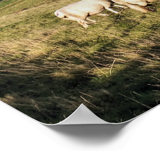 BERGSCHAFT POSTER (Ecke)