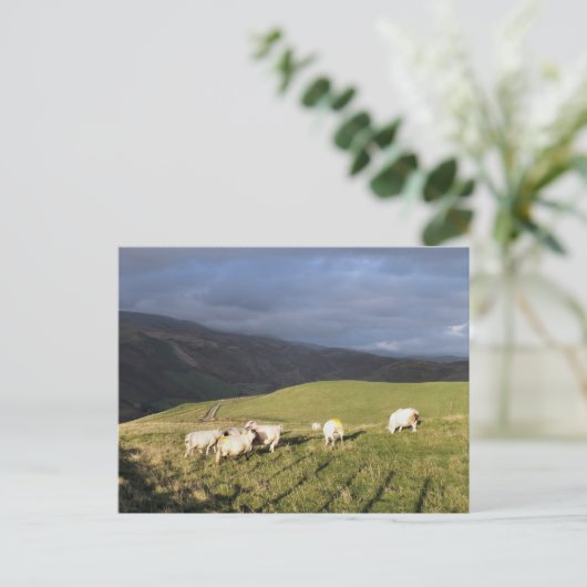 BERGSCHAFT POSTKARTE (Stehend Vorderseite)