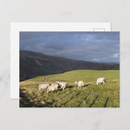 BERGSCHAFT POSTKARTE (Vorne/Hinten)