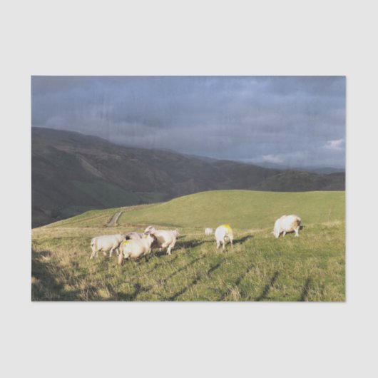 BERGSCHAFT SEIDENPAPIER (Vorderseite)