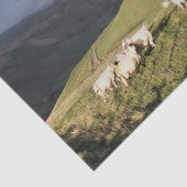 BERGSCHAFT SEIDENPAPIER (Ausschnitt)