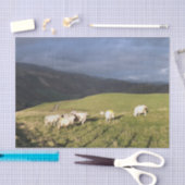 BERGSCHAFT SEIDENPAPIER (Handwerk)