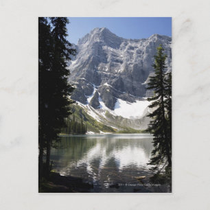 Bergsee Gerahmt durch Bäume Postkarte