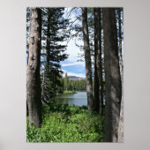 Bergsee, Wald (Portrait) Poster (Vorne)