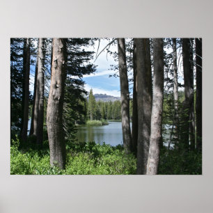 Bergsee, Wald Poster