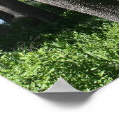 Bergsee, Wald Poster (Ecke)