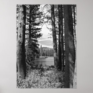 Bergsee, Wald, Schwarz und Weiß (Portrait) Poster