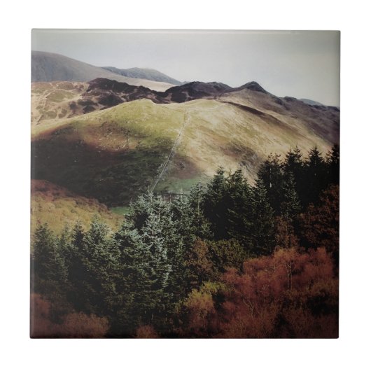 BERGSICHT AUF WALEN FLIESE (Vorderseite)