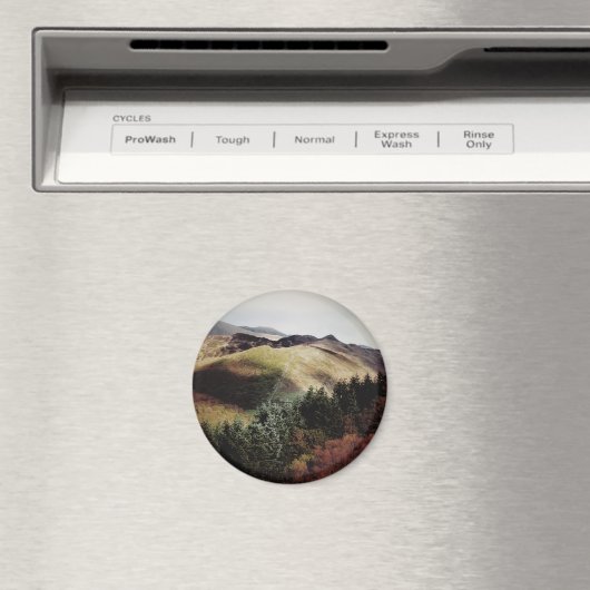 BERGSICHT AUF WALEN MAGNET (In Situ (Geschirrspüler))