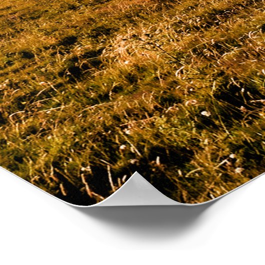 BERGSICHT POSTER (Ecke)