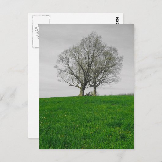 Bergspitze Postkarte (Vorne/Hinten)