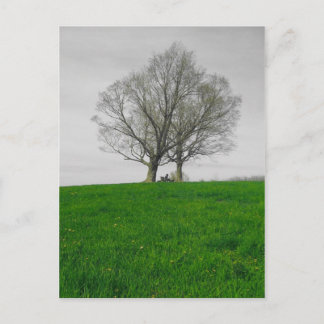 Bergspitze Postkarte