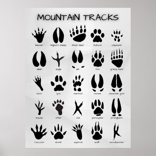 Bergspuren Poster (Vorne)