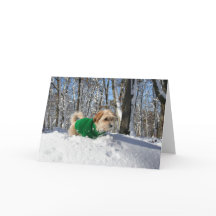 Bergsteiger-Ermutigungs-Karte