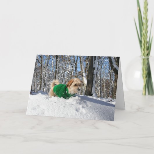 Bergsteiger-Ermutigungs-Karte Karte (Vorderseite)