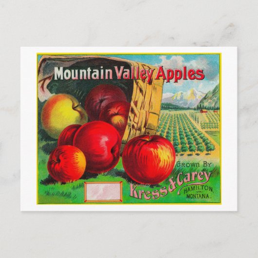 Bergtal Apple LabelHamilton, MT Postkarte (Vorderseite)