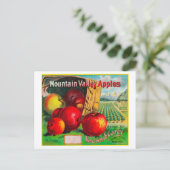 Bergtal Apple LabelHamilton, MT Postkarte (Stehend Vorderseite)