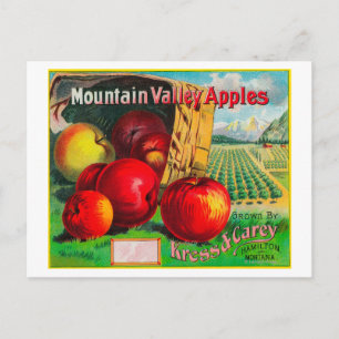 Bergtal Apple LabelHamilton, MT Postkarte
