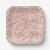 Bergtopographische Karte Pappteller (Vorderseite)