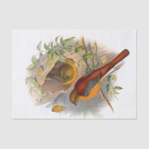Bergtrogon Decoupage Seidenpapier