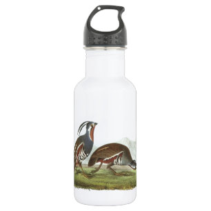 Bergwacht von Audubon Trinkflasche