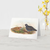 Bergwachtel - Vögel, Karte (Gelbe Blume)