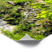 Bergwald in den Schweizer Alpen Poster (Ecke)