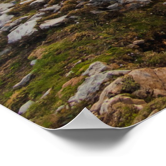 Bergwanderer Poster (Ecke)
