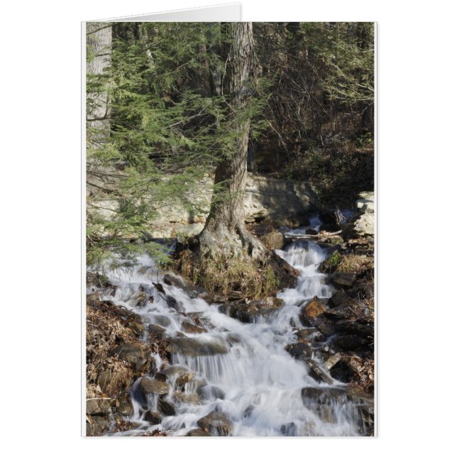 Bergwasserfall (Vorne)