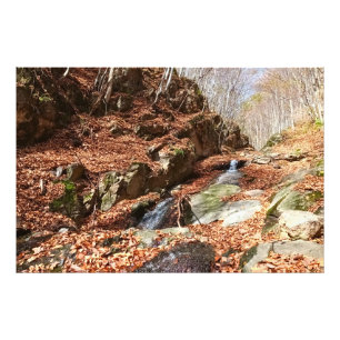 Bergwasserfall - Wilde Natur Rumänien Fotodruck